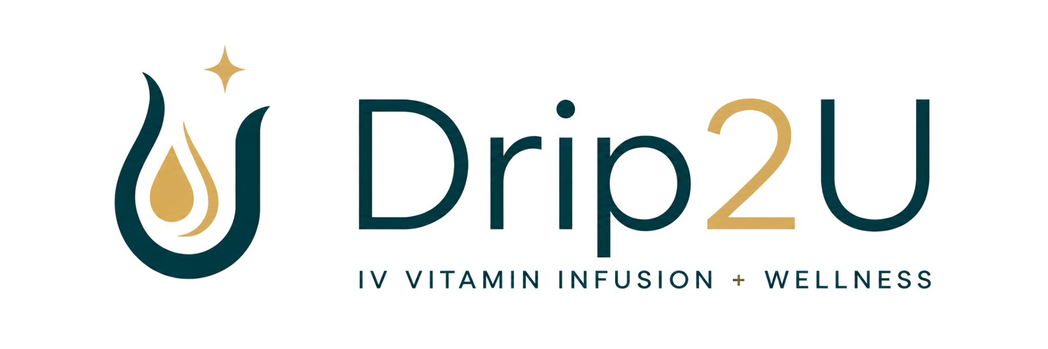 logo drip2u